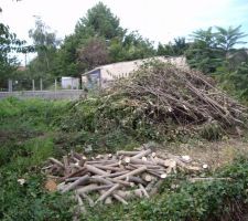 Et voil&agrave; quelques arbres en moins ... aux suivants