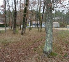 Terrain vierge de construction