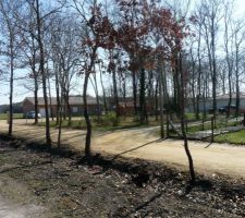 Terrain vierge de construction