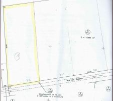 Voici notre terrain avant bornage.