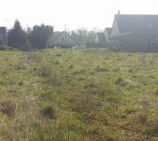 Le terrain