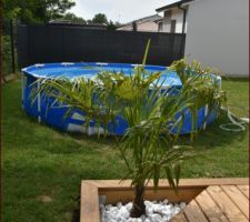 Petit palmier planté et piscine installée depuis mi Mai. Piscine démontable tant que les deux les enfants ne savent pas nager.