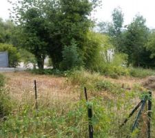 Avance defrichage