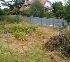 Avance defrichage