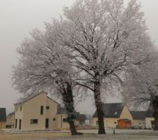 Maison sans ses couleurs mais sous la neige. Photo prise du bout de l'espace vert