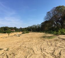 Terrain en partie nettoyer par le lotisseur