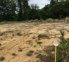 Décapage du terrain