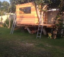 Cabane en cours - montants 50*70 - planché en volige 15*20*4000 - lambourdes 50*70 - manque le toit et la porte coulissante et les finitions ...
Et 2 paires de jambes ;) !!