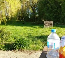 Premier apéro en terrasse