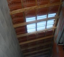 Tuile de verre entre le garage et la maison