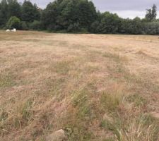 Terrain nettoyé avant le chantier ; Vu côté sud vers le nord