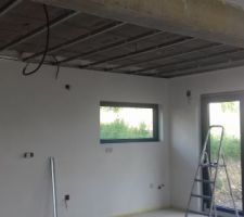 Faux plafond de la cuisine.