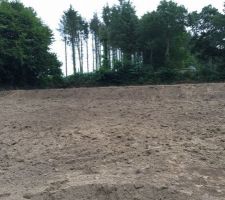 Terrassement du jardin
Réalisation de 2 plateaux