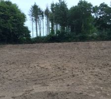 Terrassement du jardin
Réalisation de 2 plateaux