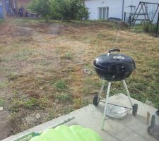 Terrain après la coupe des hautes herbes