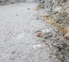 Indicateur niveau fondation respecté.