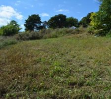 Apr&egrave;s fauchage pour l'emplacement