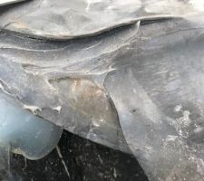 Silicone sur raccord