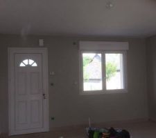 Peinture couleur daim