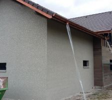 Crépis du garage