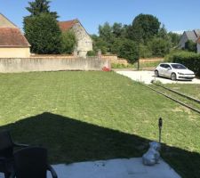 1 mois et demi de pousse ..