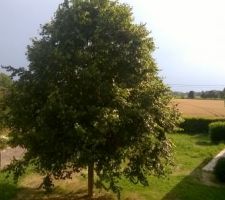 Vue de la chambre des enfants