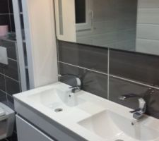 Meuble suspendu pose fini avec les robinets + le miroir et le meuble de rangement