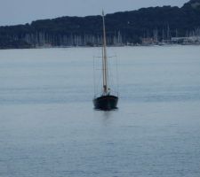 En face, à la tombée du soir : sortie du port des Iles des Embiez ( Iles Paul Ricard )