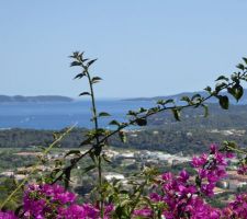 Au premier plan, Bormes les Mimosas
Au fond : Le Lavandou