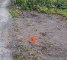 Implantation de la maison