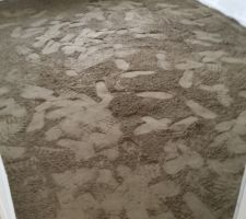 Réalisation de la nouvelle chape dans toute la partie habitable....