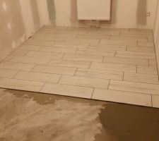 Pose du nouveau carrelage 60x60 rectifié et du carrelage imitation parquet dans les quatre chambres.... Travail réalisé par un carreleur mosaïste.