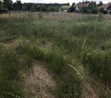 Le terrain, sur la droite le terrain est en vente et à gauche, se trouve un enclos pour cheval!! Petit village calme proche d'une assez grande ville (5km). Notre futur rue n'est pas encore goudronnée, donc c'est encore un chemin de terre.