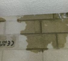 "il pleut dans ma maison, est-ce normal ?"

nouvelle surprise : dans mon sous-sol je remarque que sur les murs, les parpaings sont humides....