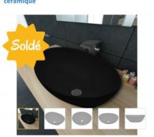 Nous avons profité des soldes pour acheter nos vasques pour la sdd ^^