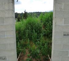 Les seuils de porte sont construits.