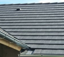 Dommage d'avoir cela juste au dessus de la porte d'entr&eacute;e, ce n'est pas top!