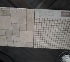 Carreaux et mosaïque choisis pour le lave main dans les WC