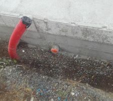 Vide sanitaire
