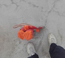 Vide sanitaire