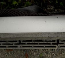 Mur soubassement+ isolant PSE de 19cm en extérieur + delta MS + antiracine (en limite de propriété)