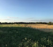 Vue c&ocirc;t&eacute; Nord par rapport au terrain