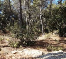 Commen&ccedil;ons par le commencement! LE terrain!
Difficile &agrave; trouver, nous avons une id&eacute;e bien en t&ecirc;te : du calme, du vert et pas de vis &agrave; vis. 

Apr&egrave;s une d&eacute;convenue quelques mois auparavant, cest l'&eacute;quipe du constructeur avec qui nous avions d&eacute;j&agrave; discut&eacute; pour le 1er terrain qui m'appelle et me dit : je crois que j'ai ce qu'il vous faut, venez le voir aujourd'hui. Nous avons beaucoup sympathis&eacute; avec Mr Astarita qui a une conscience professionnelle rare de nos jours, et il a trouv&eacute; ce qu'on cherchait. 

Ces terrains partent vite, d'autres couples r&eacute;fl&eacute;chissaient d&eacute;j&agrave; alors en 24h c'&eacute;tait r&eacute;gl&eacute; pour nous, pas question de passer &agrave; c&ocirc;t&eacute; !