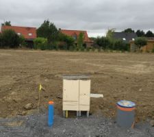 Terrain en formation