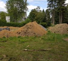 Et nous avons gagn&eacute; un 2&egrave;me magnifique tas de terre lol