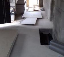 209 plaques de placo à rentrer dans la maison, une par une, à la main, dont certaines bien lourdes (hydrofuges, isophoniques).
Système D pour éviter de s'exploser le dos: on les fait glisser pour les rentrer.