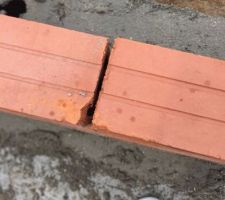 Vide sanitaire