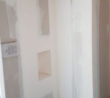 Niche dans wc du RDC