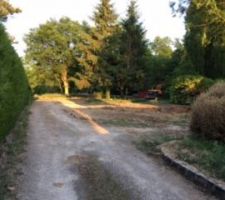 Terrain avant démolition