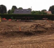 Terrain avant démolition